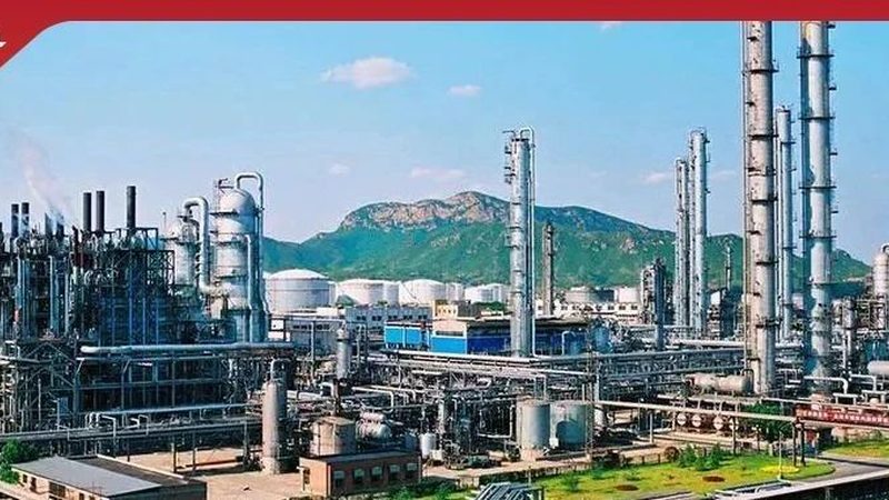 木材胶粘剂采购决策：如何评估产品性能与成本